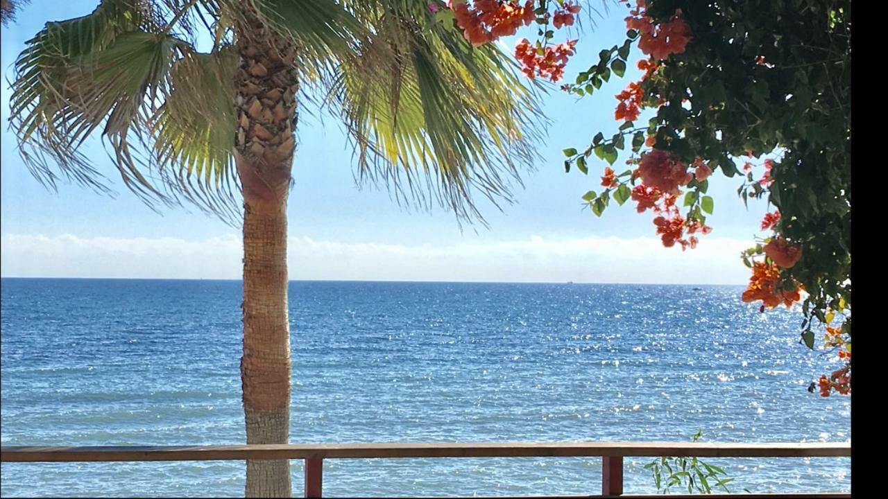 Mi Capricho B16 Beachfront Apartment ลากาลาเดมิฮาส ภายนอก รูปภาพ